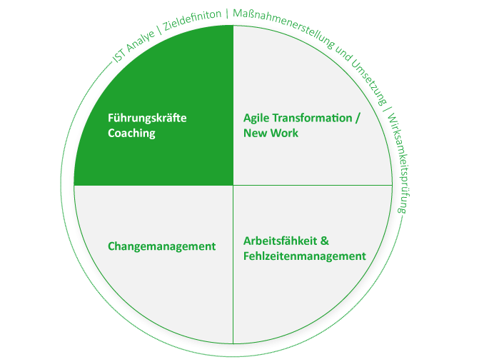 Führungskräfteberatung